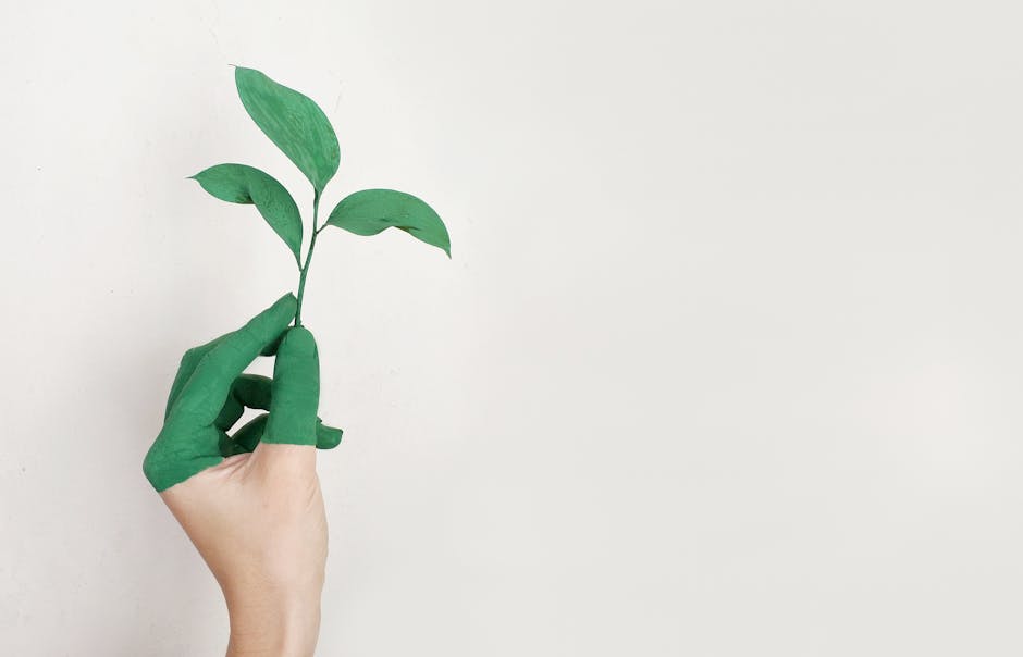 How to Build a Sustainable Wardrobe in 2025: Tips and Must-Have Pieces - how to build a sustainable wardrobe in 2025 tips and must have pieces How to Build a Sustainable Wardrobe in 2025: Tips and Must-Have Pieces